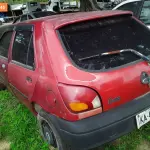 Foto 7