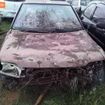 Foto 31