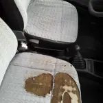 Foto 37