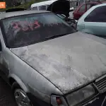 Foto 42