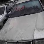 Foto 41