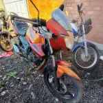 Foto 5