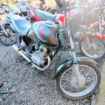 Foto 7