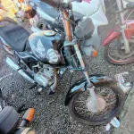 Foto 6