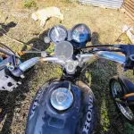 Foto 2