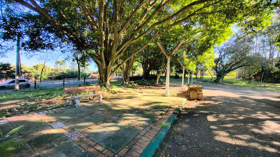 Foto 57