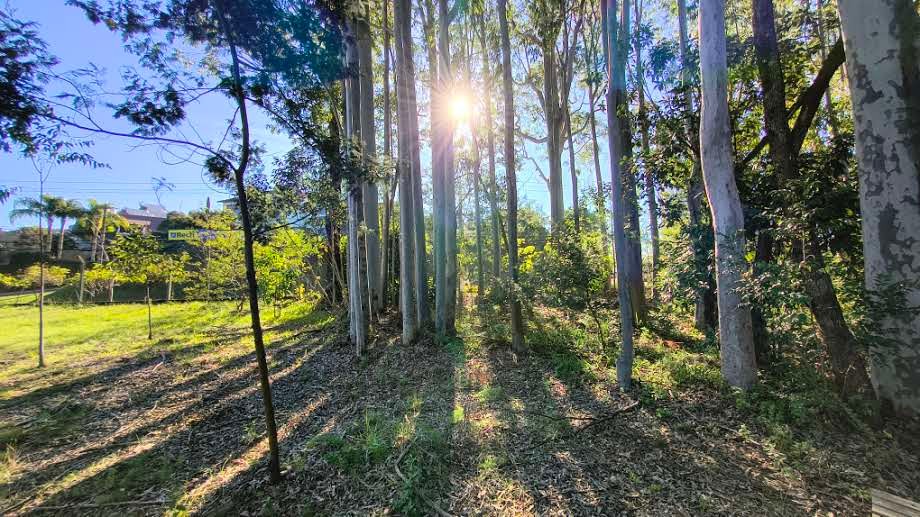 Foto 65